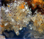 Griechenland Mineralien Lavrion Hilarion Smithsonit