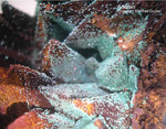 Griechenland Lavrion Mineralien Jean Baptiste Adamin