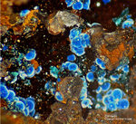 Griechenland Mineralien Lavrion Jean Baptiste Connellit