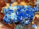 Griechenland Mineralien Lavrion Jean Baptiste Connellit