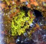 Griechenland Mineralien Lavrion Jean Baptiste Gartrellit
