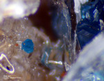 Griechenland Lavrion Mineralien Jean Baptiste Ktenasit
