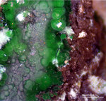 Griechenland Lavrion Mineralien Jean Baptiste Konichalcit