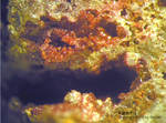 Griechenland Lavrion Mineralien Jean Baptiste Karminit