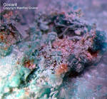 Griechenland Lavrion Mineralien Jean Baptiste Goslarit