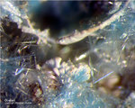 Griechenland Lavrion Mineralien Jean Baptiste Goslarit