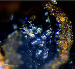 Griechenland Mineralien Lavrion Jean Baptiste Goethit