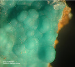 Griechenland Mineralien Lavrion Jean Baptiste Glaukokerinit