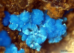 Griechenland Mineralien Lavrion Jean Baptiste Lavendulan