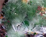 Griechenland Mineralien Lavrion Jean Baptiste Olivenit