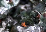 Griechenland Mineralien Lavrion Jean Baptiste Olivenit