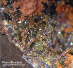 Griechenland Mineralien Lavrion Jean Baptiste Pharmakosiderit