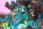 Griechenland Mineralien Lavrion Jean Baptiste Rosasit