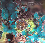 Griechenland Mineralien Lavrion Jean Baptiste Rosasit