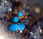 Griechenland Mineralien Lavrion Jean Baptiste Rosasit