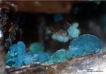Griechenland Mineralien Lavrion Jean Baptiste Rosasit