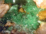 Griechenland Lavrion Mineralien KM3 Annabergit