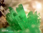 Griechenland Lavrion Mineralien KM3 Annabergit