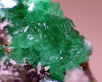 Griechenland Lavrion Mineralien KM3 Annabergit