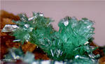 Griechenland Lavrion Mineralien KM3 Annabergit
