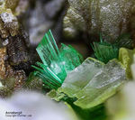 Griechenland Lavrion Mineralien KM3 Annabergit