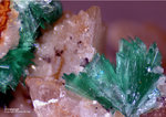 Griechenland Lavrion Mineralien KM3 Annabergit