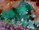 Griechenland Lavrion Mineralien KM3 Annabergit