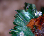 Griechenland Lavrion Mineralien KM3 Annabergit