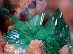 Griechenland Lavrion Mineralien KM3 Annabergit