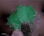 Griechenland Lavrion Mineralien KM3 Annabergit