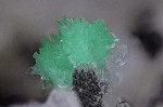 Griechenland Lavrion Mineralien KM3 Annabergit