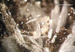Griechenland Lavrion Mineralien Plaka Baryt
