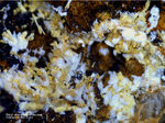 Griechenland Lavrion Mineralien Plaka Baryt