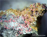 Griechenland Lavrion Mineralien Plaka Erythrin
