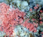 Griechenland Lavrion Mineralien Plaka Erythrin
