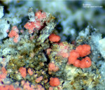 Griechenland Lavrion Mineralien Plaka Erythrin