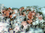 Griechenland Lavrion Mineralien Plaka Erythrin