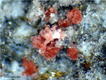 Griechenland Lavrion Mineralien Plaka Erythrin