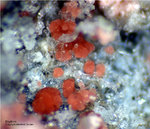 Griechenland Lavrion Mineralien Plaka Erythrin