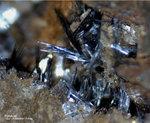 Griechenland Lavrion Mineralien Plaka Pyrolusit