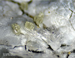 Griechenland Lavrion Mineralien Plaka Schwefel