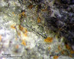 Griechenland Lavrion Mineralien Plaka Turmalin