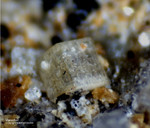 Griechenland Lavrion Mineralien Plaka Vanadinit