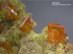 Griechenland Lavrion Mineralien Plaka Wulfenit