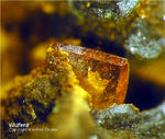 Griechenland Lavrion Mineralien Plaka Wulfenit