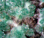 Griechenland Lavrion Mineralien Serpieri Adamin