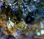Griechenland Lavrion Mineralien Serpieri Adamin