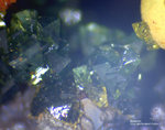 Griechenland Lavrion Mineralien Serpieri Adamin