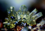 Griechenland Lavrion Mineralien Serpieri Adamin