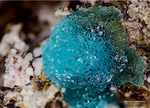 Griechenland Lavrion Mineralien Serpieri Adamin Al